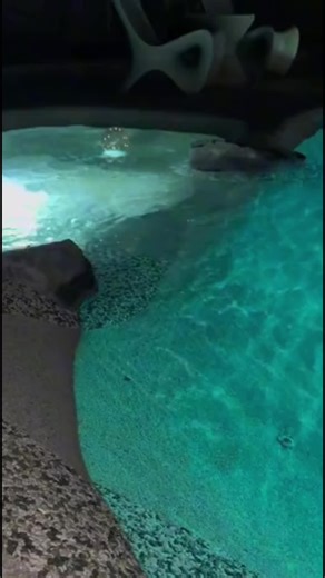 Experience the Beauty of Lagoon Swimming Pools