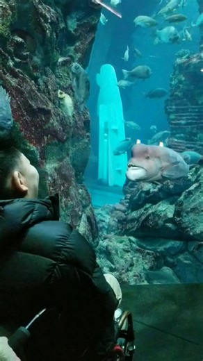 柏崎ユニバーサルツーリズムセンター on Reels