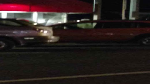 Dog Goes Viral for Honking Car Horn in Traffic