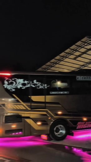 Java Fun Trip Let the trip,get the fun 🥳 Piknik bareng Javafuntrip, piknik asik busnya terbaik 🤩 @JAVAFUN TRIP INDONESIA @mentari trans pbg #gobrasgabressquad #fypシ゚