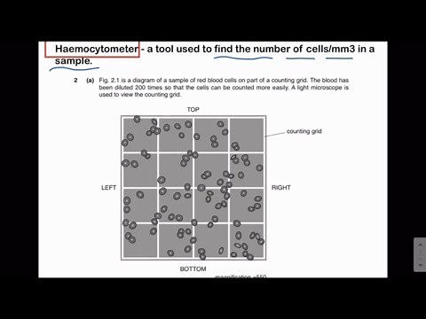 Haemocytometer | Practical skills | O & A Level Biology