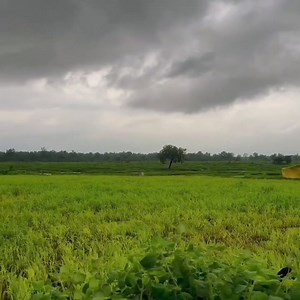 Just wanna breathe here | Pink Butterfly