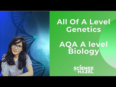 AQA GENETICS | ALL IN ONE | A LEVEL BIOLOGY