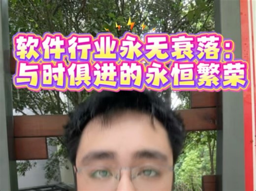 软件行业永无衰落：与时俱进的永恒繁荣#软件行业 #软件开发公司 #软件开发行业现状 #软件行业发展
