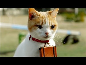 RECRUIT じゃらん ステージ プログラム CM 「新登場！」篇 15秒