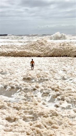 23K views · 35 reactions | Did you know? Seafoam, also known as...