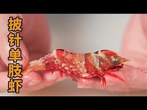 It's a disaster! Xiao Wenge challenges the ”Alien shrimp” at great risks but soon groans and screa