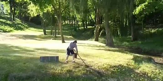 Tiffin goose killer gets two years probation, suspended sentence