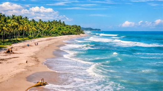 A tropical beach with palm trees in Colombia