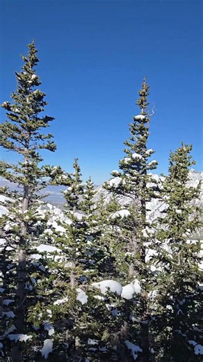 April Skiing in Alta Utah