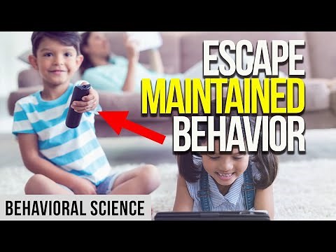 Function Based Treatments for Escape Maintained Problem Behavior