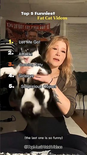 The Ultimate Chunky Cat Showdown