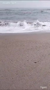 158K views · 6.2K reactions | Vidéo Hamid Sebai pour Actualités Tigzirt Musique Ait Menguellet | Actualités Tigzirt | Facebook