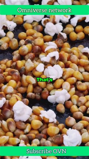 You’ll Never See Popcorn the Same Way Again!