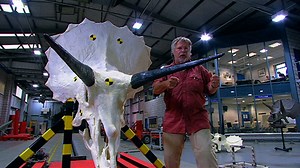 Crash test dinosaurs