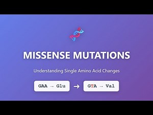Missense Mutations Explained: How One Amino Acid Change Affects Proteins | Genetics Tutorial