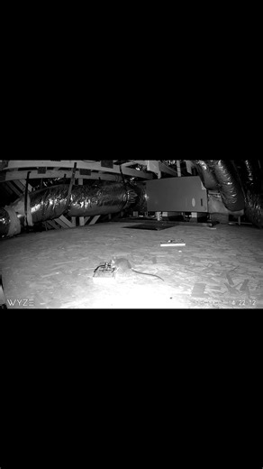 This is WHY we invented & revolutionized Rat Traps. #rat #rattrap #twintrap #fyp #tips #omg | Twin Home Experts | Facebook