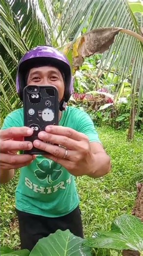 two many python at the old tree #comedy #funny