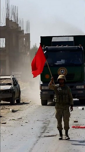 Unexpected moment #monkey #army #animals #military #viralvideo #monkeys