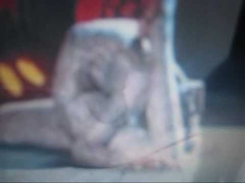 Haitian Voodoo Woman Turned into Snake During ceremony of Dambala in Haiti