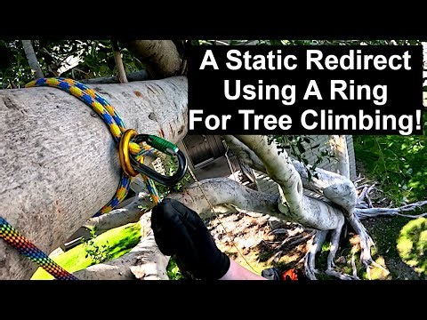 Static REDIRECT Using An ANCHOR RING for Arborists & Tree Climbers!