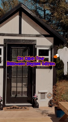 What do you think of the Halloween decor in the cat house? This is what is looks like during the day, I’ll show the spooky night reveal soon 🎃 👻 This cat house is an 8x10 building, fully insulated, has windows to let in the light and has a window unit to keep the kitties comfortable. Inside the walls and counters are PVC panels for easy cleanup, loft space for sleeping, lots of vertical shelves to maximize space, a floor to ceiling scratching and climbing post and of course crazy cat lady deco