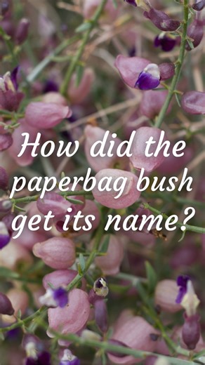 3.2K views · 82 reactions | Enjoy the sweet sounds of conservation at...