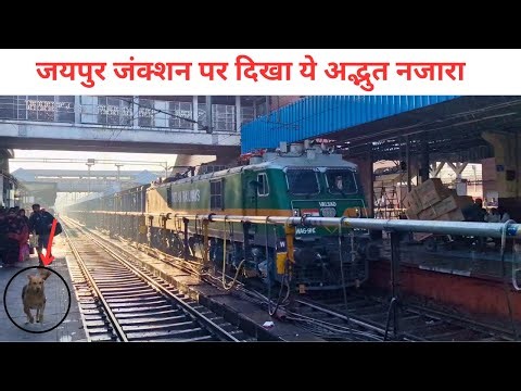 powerfull wag9hc with boxn wagon goods train skip jaipur junction #trainswithvijay