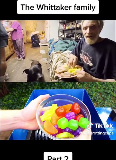 The Whitaker Family Tree: Exploring the Inbred Whitakers