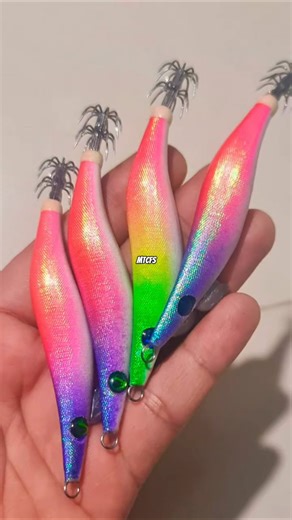 Special Squid Fishing Bait in Shallow Water.