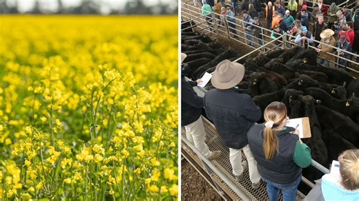 State of the industry: What livestock, cropping farmers need