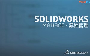 SOLIDWORKS Manage - 流程管理
