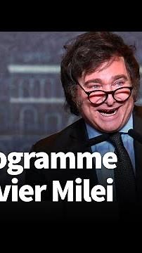 Monnaie, armes, minorités : l’extravagant programme de Javier Milei, le nouveau président argentin