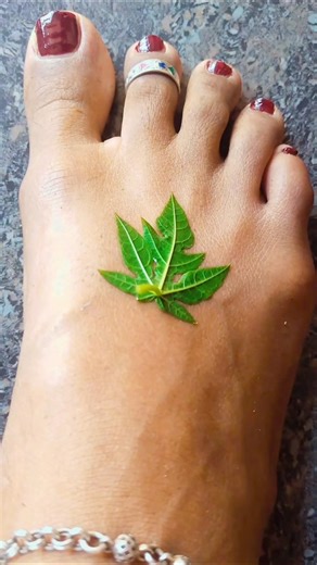 New Stylish Leaf Mehndi Design ❤️🌿💁🏻‍♀️ #leafmehndi​ #youtubeshorts​ #mehndi​ #shots​ #mehndidesign