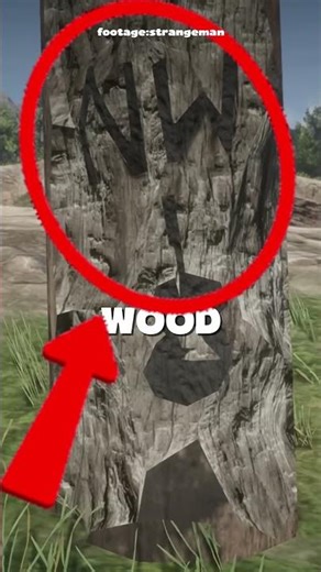 What Is The Spider Web Mystery In RDR2…