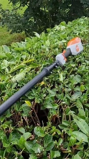 Trimming and Topping a Cherry Laurel Hedge #mrtidygarden #gardening #hedgecutting
