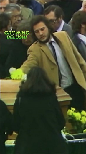🌹 Jim Belushi’s Emotional Final Goodbye to His Brother John #johnbelushi #jimbelushi #finalgoodbye