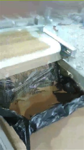 nut dicing and sorting machine wahtsapp +86 166 2726 0640