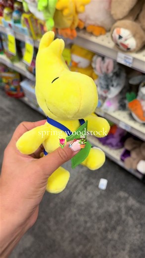 Adorable Tiny Plushie Found at CVS