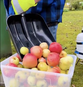 Une liqueur de pomme maison pour réchauffer l'hiver | Les Cracks du Bois