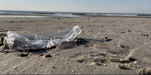 Spring into a litter-free beach with the IOP Cleanup Crew