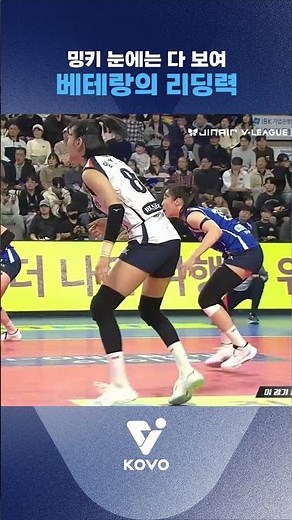 밍키 눈에는 다 보여 베테랑의 리딩력