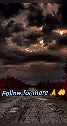 new trending WhatsApp bios will instantly upgrade your vibe 🔥✨ which one matches your energy? 👀 #whatsappbio #bioideas #aestheticvibes #viral2026 #fyp