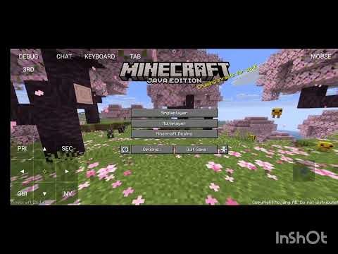 First bath playing Minecraft java edition in phone#video
