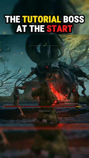 When You Revist Elden Ring's Tutorial