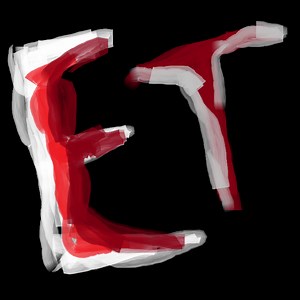 Evil Twin activation tutorial post after buying