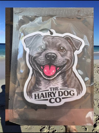 Unusual Staffy Appearance: A Unique Pup!