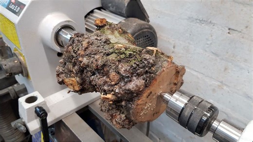 Woodturning a coffee mug from apple burl 🍂☕