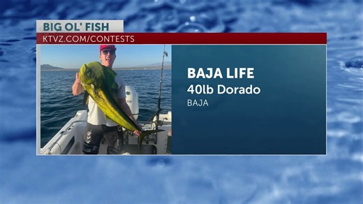 Big Ol' Fish: Massive catches in Baja & the Haystack Reservoir