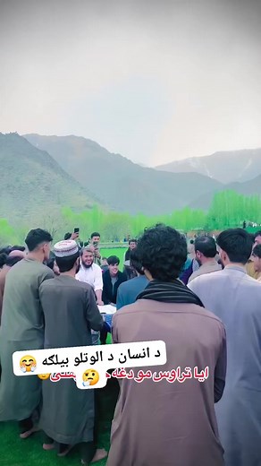 15K views · 134 reactions | Ajab Gull on Reels | Facebook